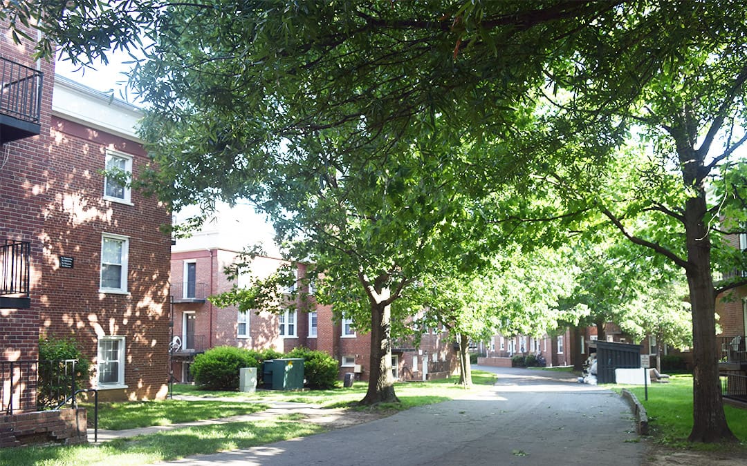 Casa_neighborhood_apartments